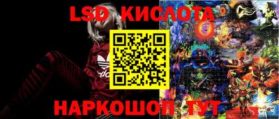 сатива Заволжье