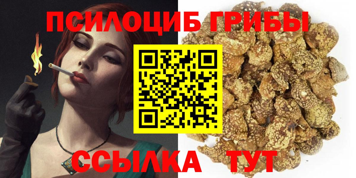 Малгобек  Галлюциногенные грибы GOLDEN TEACHER  Вход с VPN  Галлюциногенные грибы мухоморы 