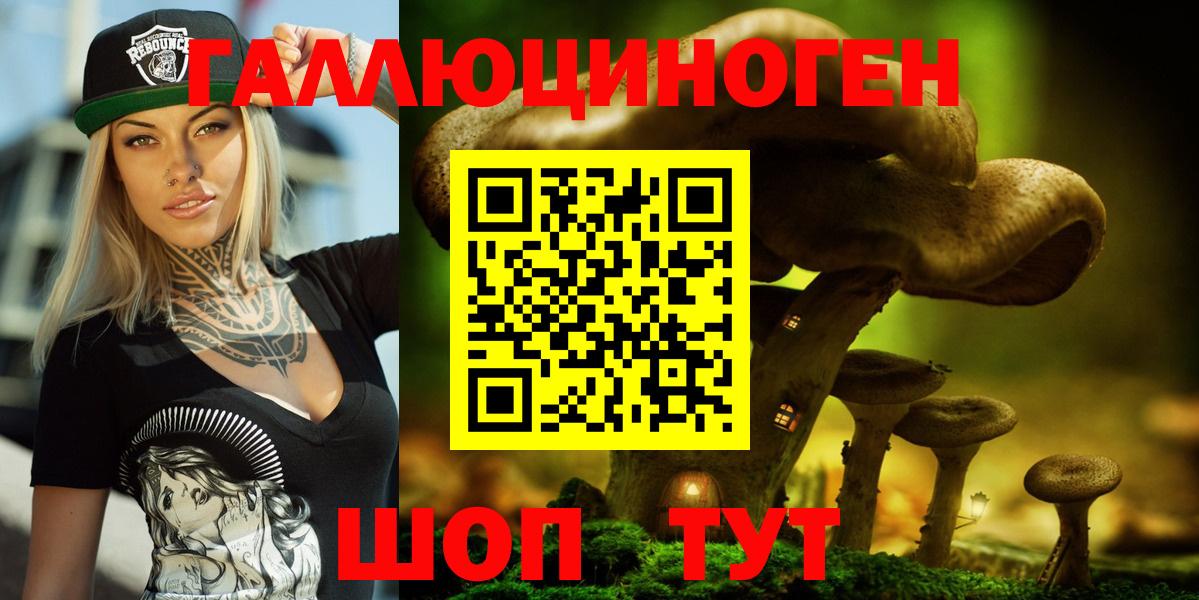 Псилоцибиновые грибы прущие грибы Малгобек